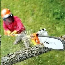 Pole Saw, Stihl HT131 Extendable